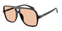 Sunglasses Emporio Armani Man 4252U50179357
